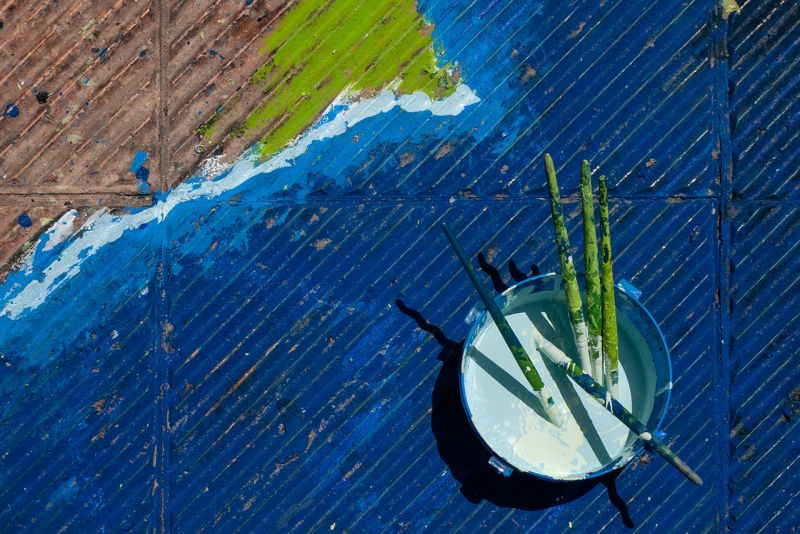 ‘’ΗΜΕΡΑ ΤΗΣ ΓΗΣ”